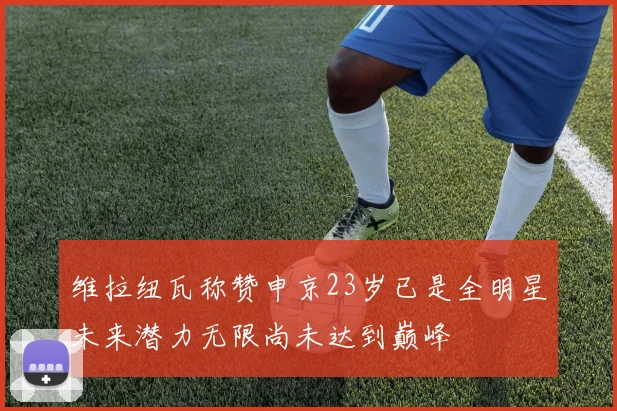 维拉纽瓦称赞申京23岁已是全明星未来潜力无限尚未达到巅峰