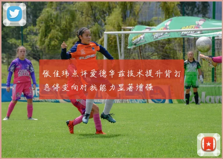 张佳玮点评爱德华兹技术提升背打急停变向对抗能力显著增强