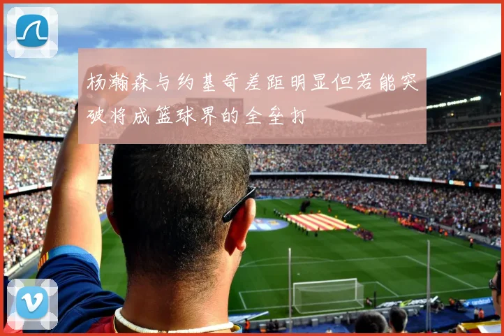 杨瀚森与约基奇差距明显但若能突破将成篮球界的全垒打